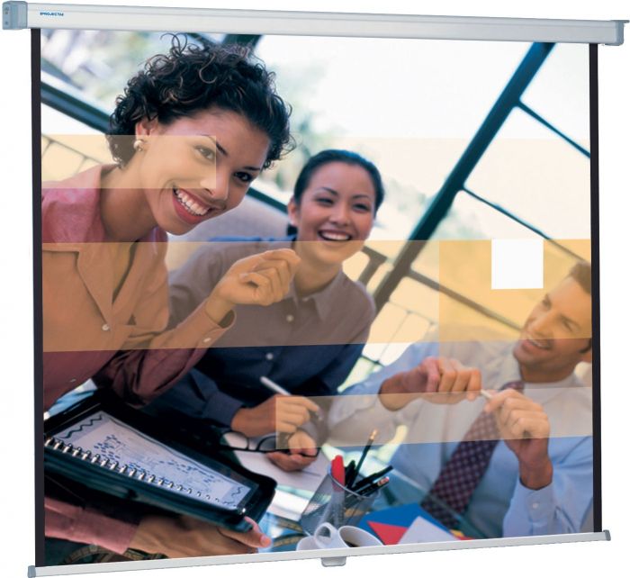 Екран Projecta SlimScreen 200x200см, MW