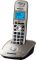 Радіотелефон DECT Panasonic KX-TG2511UAN Platinum