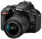 Цифр. фотокамера дзеркальна Nikon D5600 + AF-P 18-55 VR + AF-P 70-300 VR