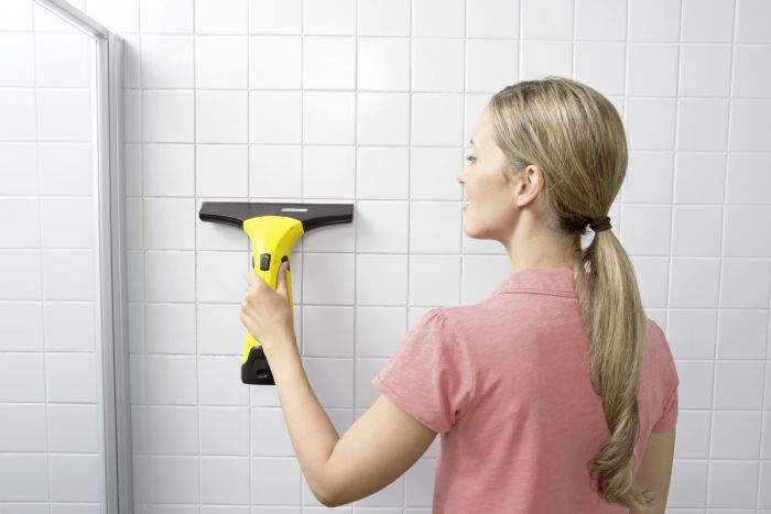 Пилосос для миття вікон Karcher WV 2