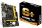 Материнська плата Biostar B450MH sAM4 B450 2xDDR4 HDMI-VGA M.2 mATX