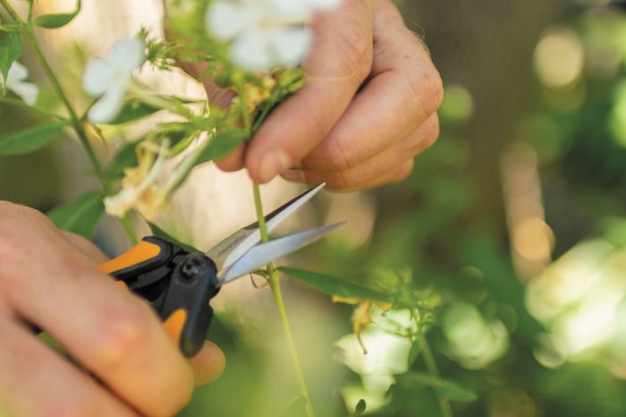 Fiskars Ножиці для мікро-обрізки Solid SP13