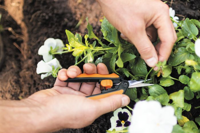 Fiskars Ножиці для мікро-обрізки Solid SP13