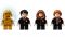 Конструктор LEGO Harry Potter Гоґвортс: зустріч із Флафі 76387