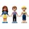 Конструктор LEGO Friends Школа у Хартлейк-Сіті 41682