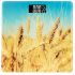 Ваги Ardesto SCB-965WHEAT