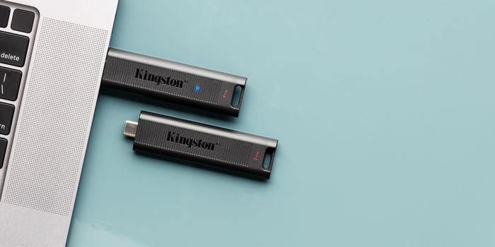 Накопичувач Kingston  256GB USB-C 3.2 Gen 2 DT Max