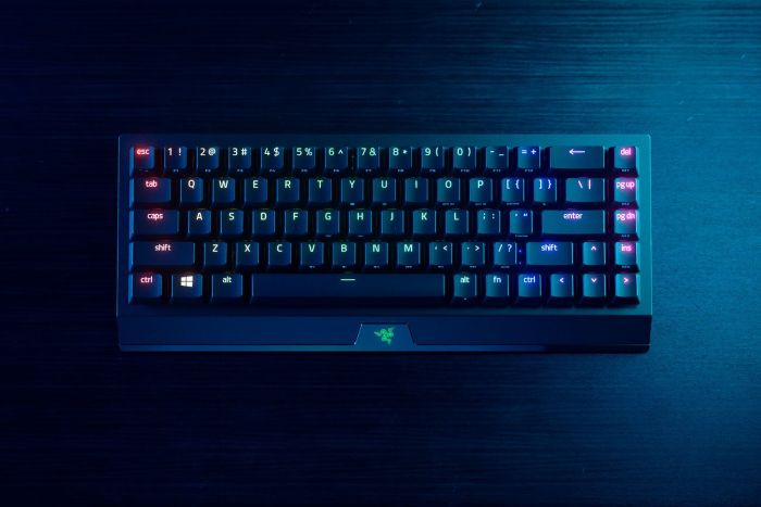 Клавіатура ігрова Razer BlackWidow V3 Mini HyperSpeed Yellow Switch WL/BT/USB RU RGB, Black