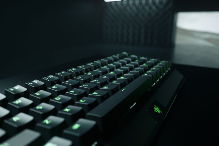 Клавіатура ігрова Razer BlackWidow V3 Mini HyperSpeed Yellow Switch WL/BT/USB RU RGB, Black