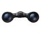 Бінокль Nikon ACULON T02 10x21 BLACK