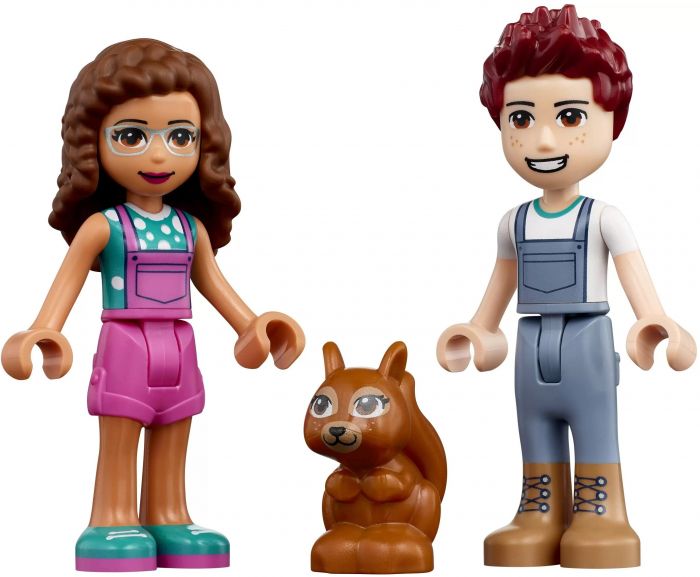 Конструктор LEGO Friends Автомобіль для саджання дерев 41707