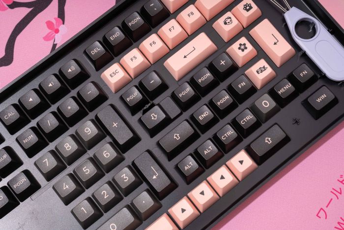 Akko Кейкапи Black&Pink ASA Fullset Keycaps, EU, Blue