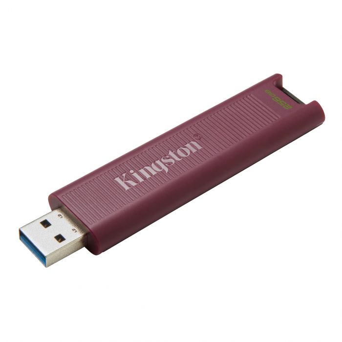 Накопичувач Kingston  256GB USB 3.2 Gen 2 DT Max Type-A