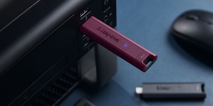 Накопичувач Kingston  256GB USB 3.2 Gen 2 DT Max Type-A