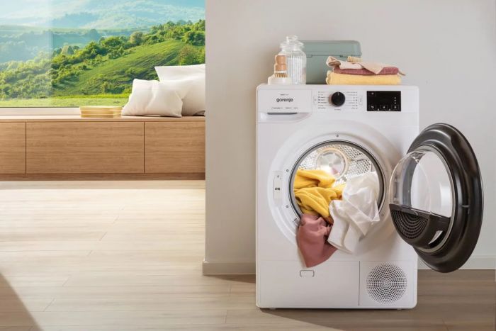 Сушильна машина Gorenje DNE82/GN тепловий насос, 8кг, A++, 60см, дисплей, білий