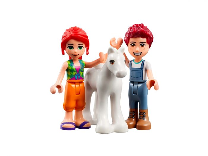 Конструктор LEGO Friends Конюшня для миття поні