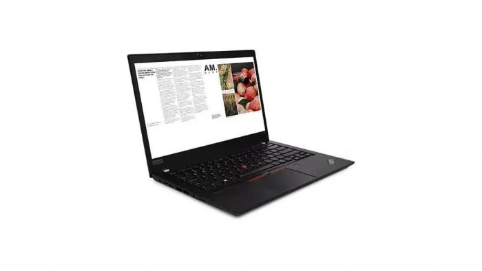 Ноутбук Lenovo ThinkPad T14 14/Intel i7-1185G7/32/512F/int/W10P