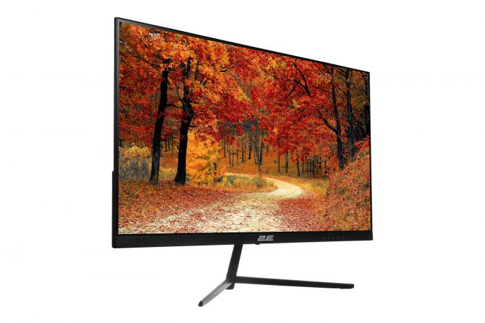 Монітор 2E 23.8" D2421B D-Sub, HDMI, Audio, IPS, 75Hz, FreeSync