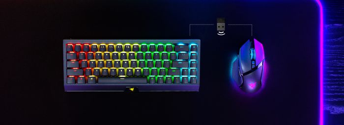 Миша Razer Basilisk V3 Pro, RGB, USB-A/WL/BT, чорний