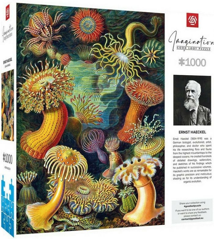 Пазл Imagination: Ernst Haeckel: Sea Anemones/Stworzenia morskie Puzzles 1000 ел.