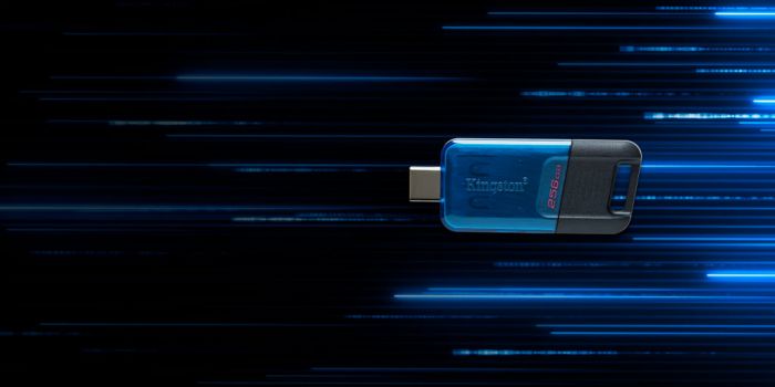 Накопичувач Kingston   64GB USB 3.2 Type-C Gen 1 DT80 M