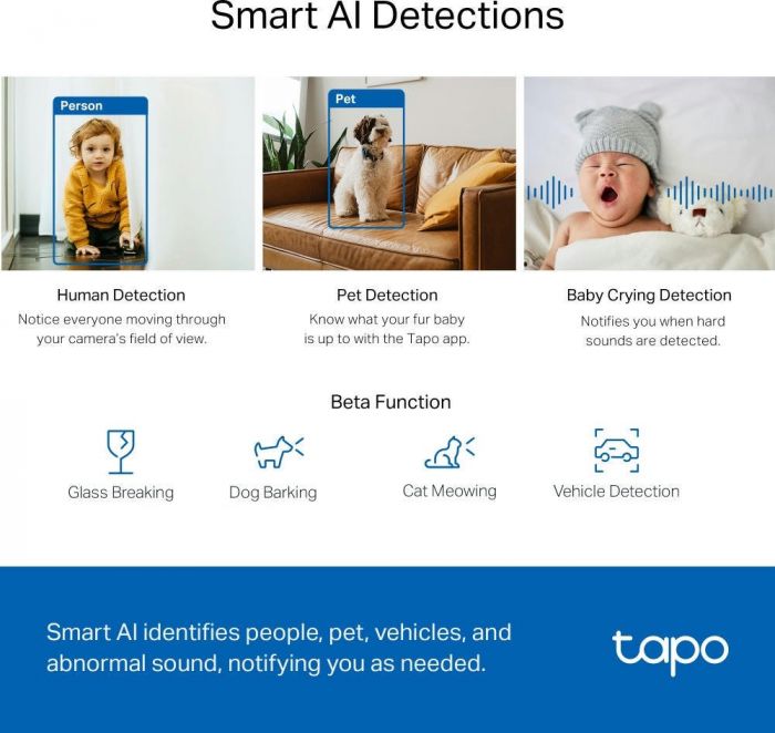 IP-Камера TP-LINK Tapo C220 4MP N300 microSD motion detection