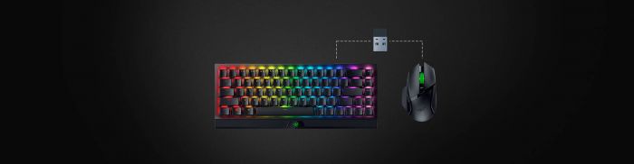 Миша Razer Basilisk V3 X HyperSpeed, RGB, WL/BT, чорний