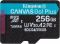 Карта пам'яті Kingston microSD  256GB C10 UHS-I U3 A2 V30 R200/W160MB/s