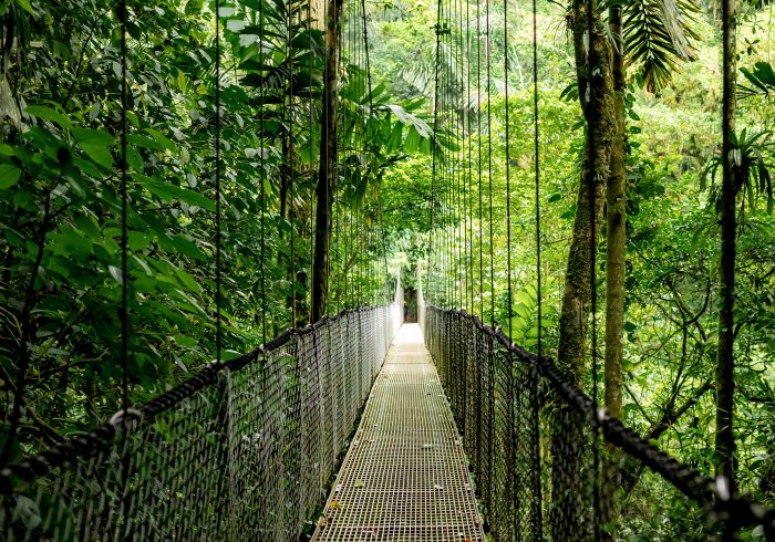 Ноутбук HP Probook 4-G1a 14" WUXGA IPS, AMD R7-250, 24GB, F1024GB, UMA, Win11P, сріблястий