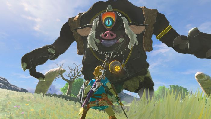Гра консольна Switch 2 Legend of Zelda: Breath of the Wild, картридж