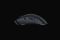 Миша Razer DeathAdder V3 HyperSpeed, WL, чорний