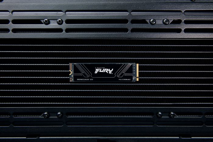 Накопичувач SSD Kingston M.2 8TB PCIe 5.0 FURY Renegade