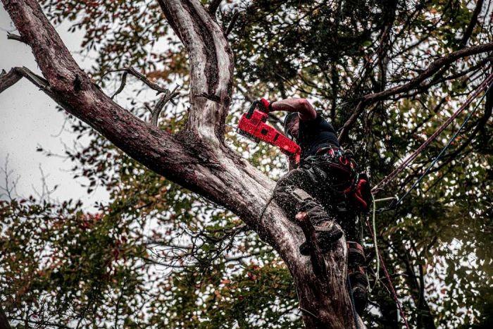 Пила ланцюгова акумуляторна Milwaukee M18 FCHS-0 18В шина 40см 6.4кг без АКБ та ЗП