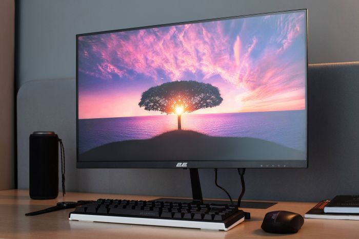 Монітор 2E 23.8" D2425B D-Sub, HDMI, MM, IPS, 100Hz, FreeSync