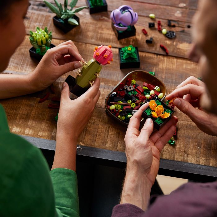 Конструктор LEGO Botanicals Сукуленти