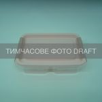 Контейнер двосекційний для зберігання харчових продуктів ARDESTO Fresh 2х0.25л, пластик, прямокутна, рожевий