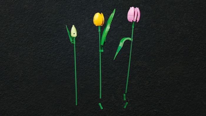 Конструктор LEGO Botanicals Букет тюльпанів