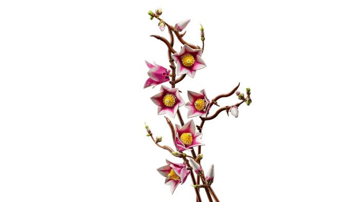Конструктор LEGO Botanicals Гілки магнолії