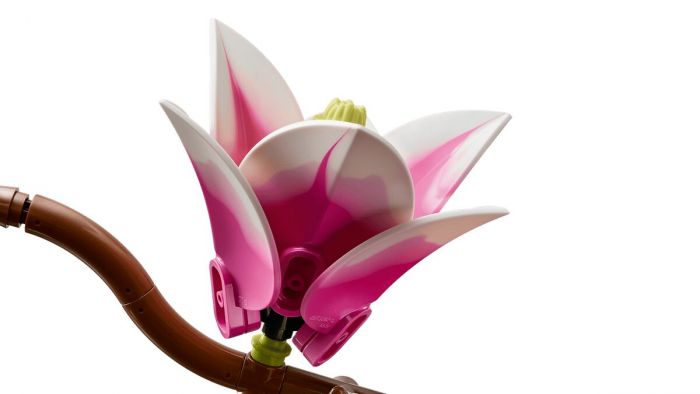 Конструктор LEGO Botanicals Гілки магнолії