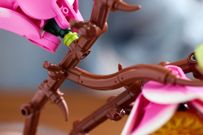 Конструктор LEGO Botanicals Гілки магнолії