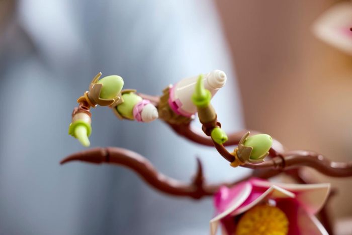 Конструктор LEGO Botanicals Гілки магнолії
