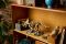 Конструктор LEGO Jurassic World Скамянілості динозаврів: трицератопс