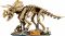 Конструктор LEGO Jurassic World Скамянілості динозаврів: трицератопс