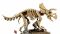 Конструктор LEGO Jurassic World Скамянілості динозаврів: трицератопс