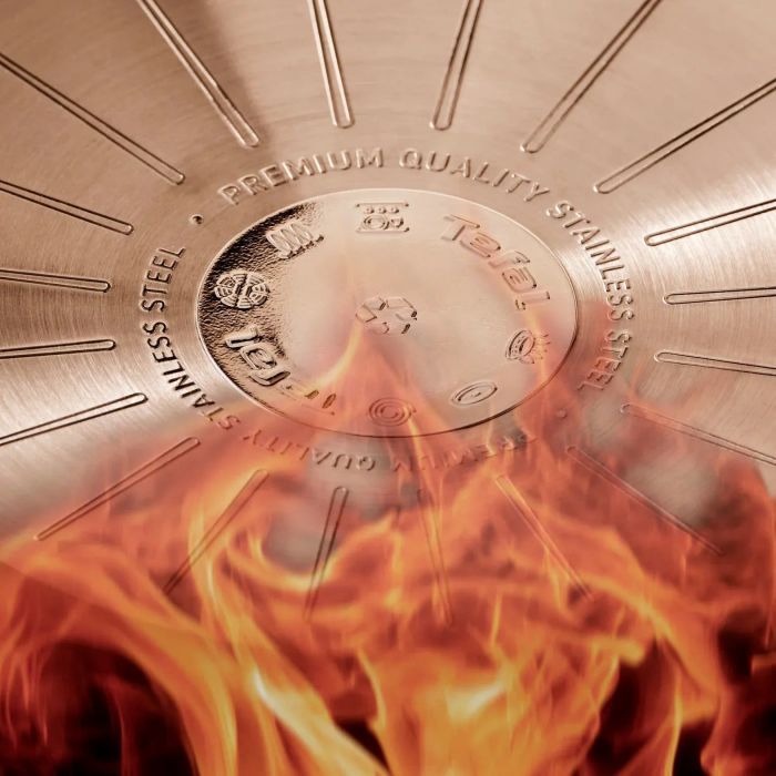 Сковорода для млинців Tefal Emotion+, 25см, нержавіюча сталь, бакеліт, чорний