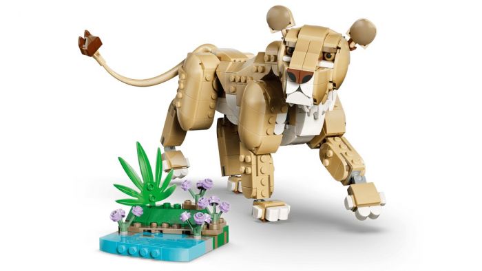 Конструктор LEGO Creator Дикі тварини: Величний лев