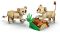 Конструктор LEGO Creator Дикі тварини: Величний лев