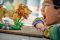 Конструктор LEGO Creator Дикі тварини: Величний лев