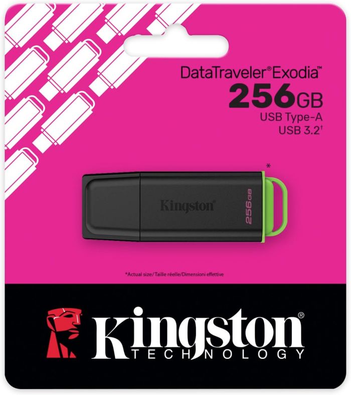 Накопичувач Kingston  256GB USB 3.2 Type-A Gen1 DT Exodia