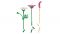 Конструктор LEGO Botanicals Квіти космеї